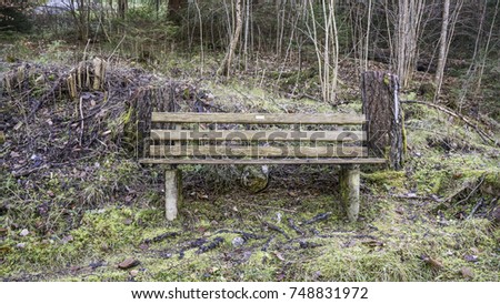 Bench on hiking trail
