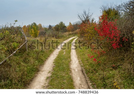 Autumn colors. Autumn time is very melancholic and beautiful. The leaves of the trees are decorated with bright colors. Yellow, orange and red foliage, even on a cloudy day, gives positive emotions.