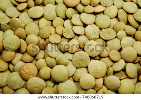 green lentils (Lens culinaris)