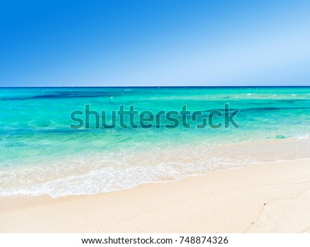 beach with water and waves
