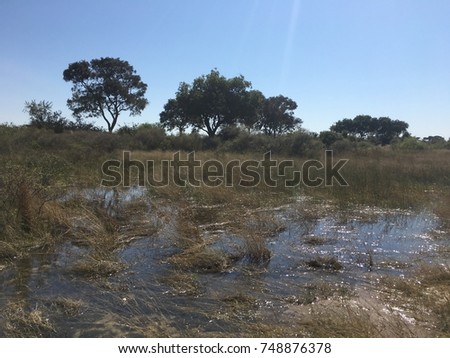 Moremi Wildlife Reserve, Okavango Delta, Botswana