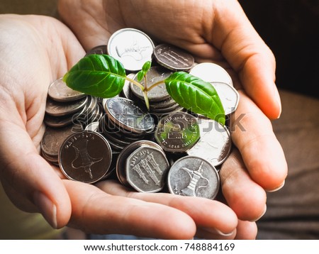 Coins of UAE. Coins and green plant in the palms.