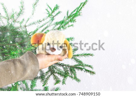 The symbol of the year is a toy dog in the hands of a girl against the background of fir branches. New Year Christmas