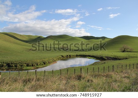 Rolling green pastoral hills, covered with sheep, with a lake in the foreground, a blue sky, and a farm fence, near Havelock North, Hawke's Bay, New Zealand. Room for text / room for copy. Royalty-Free Stock Photo #748915927