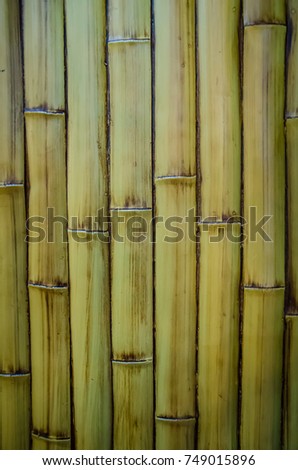 Yellow color is a natural bamboo fence texture background,Bamboo is a row decorated wall building.