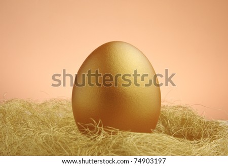 a single golden egg in the nest