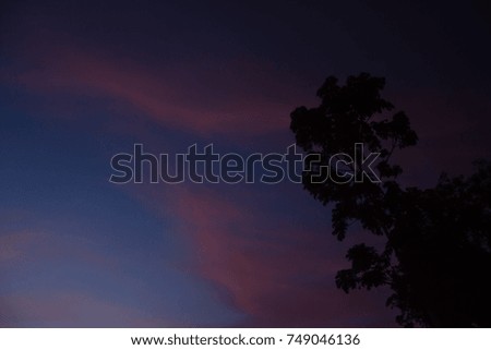 Silhouette of sky and trees