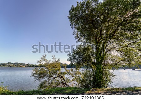 View of a lake in Galicia (Spain) through the trees of the shore on a day with totally clear sky