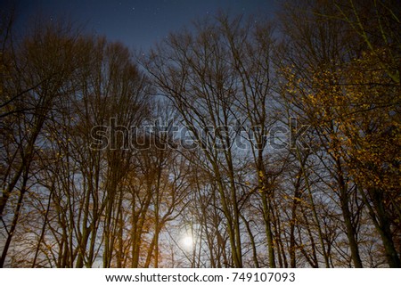 Night sky with full moon and stars