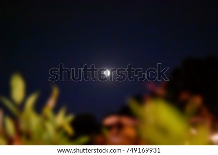 Blurry picture of uprisen angle image through the leaves to the moon in the sky.