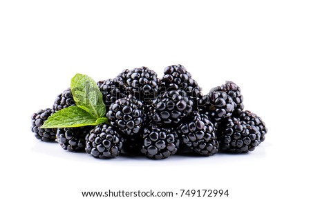 Blackberries isolated on white background. Royalty-Free Stock Photo #749172994
