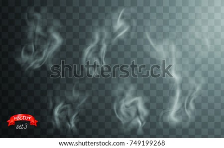 White cigarette smoke waves. White hot steam over cup for dark and transparent background. Set of fume on food, tea and coffee. Magic vapor, mist, cloud, gas or fog vector illustration. Hazy fragrance Royalty-Free Stock Photo #749199268