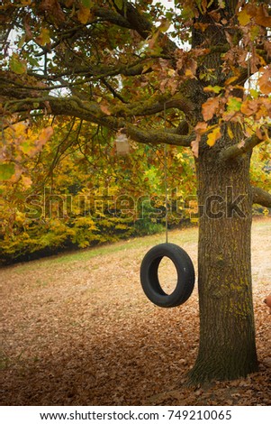 Woodland autumn scenery with tire swing hanging on a oak tree. Perfect seasonal background, with copyspace.  Thanksgiving landscape. Vertical shot.