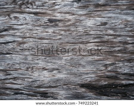 Detail of real wood texture surface with line nature curve and decay of wood as background picture