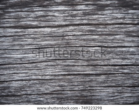 Detail of real wood texture surface with line nature curve and decay of wood as background picture