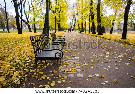 Empty bench on the walkway in a park with colorful autumn trees in St. Petersburg, Russia, Europe, autumn natural. fall. foliage. alone concept. color. Public park.