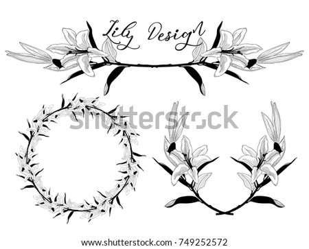 Hand Drawn Lily Flower Arrangements. Floral Decorative Design Elements. Divider, Text Frame and Wreath. Vector Illustration