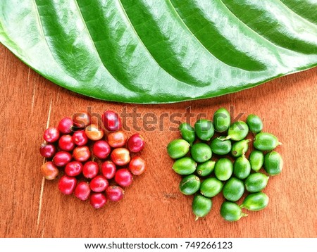 Red and Green Coffee Beans with Big Green Cafe Leaf and Wooden Background, Paksong Plateau Coffee Bean, Champasak Laos, Nature Food and Drink Image Backgrounds with Copy Space