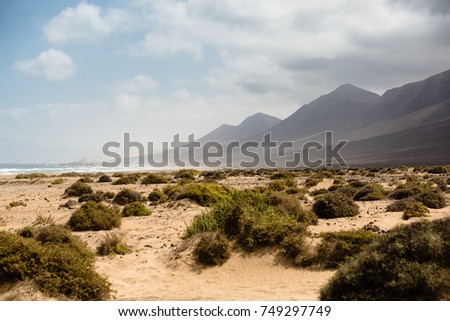 View of Cofete beach on Jandia Peninsula, Fuerteventura, Spain.