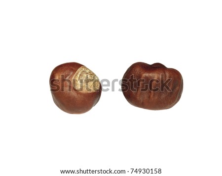 Two chestnut isolated on white background