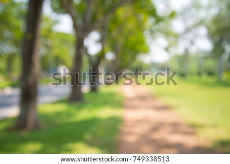 Blur of city park bokeh background in summer, green nature concept