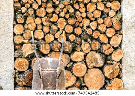 Heap of wood logs ready for winter. Stack of chopped firewood. A pile of woods in the house storage. Raw barked wood logs in a storage yard.
