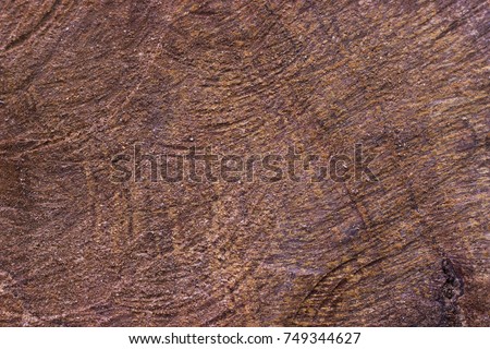 Wrinkles in the wood caused by the logger.