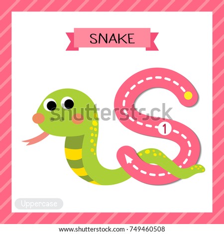 Letter S uppercase cute children colorful zoo and animals ABC alphabet tracing flashcard of Green Snake for kids learning English vocabulary and handwriting vector illustration.