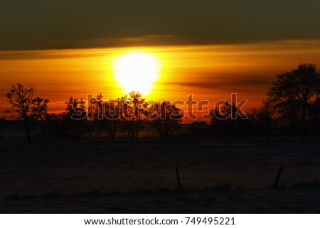Sunset with trees in silhouette