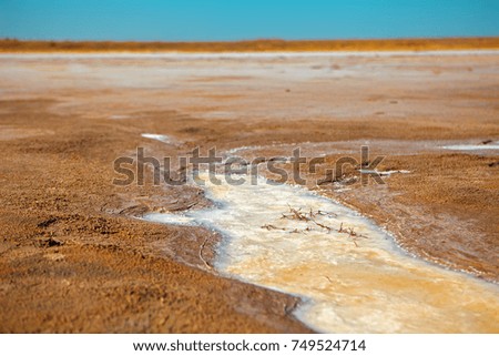 Summer. Salt lake. The soil of salt. 