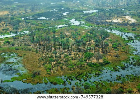 a view from the air on the delta of the Okavango River in northern Botswana , Africa               