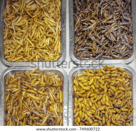 Close up picture of fried edible insects, shallow depth of field.