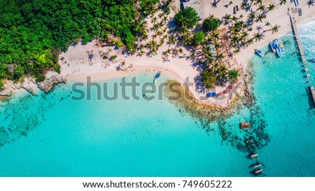 Saona Island in Dominican Republic aerial drone  Royalty-Free Stock Photo #749605222