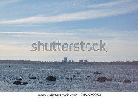 Horizon with a city by the sea. Evening landscape with the sea
