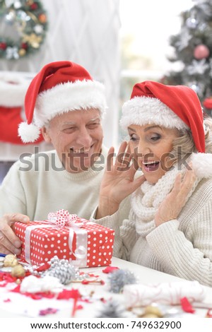 Senior couple celebrating Christmas