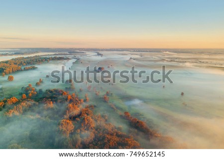 River and autumn trees in the fog, top view