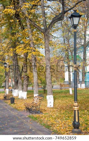 Streetlight, benches and grey paving road in autumn park