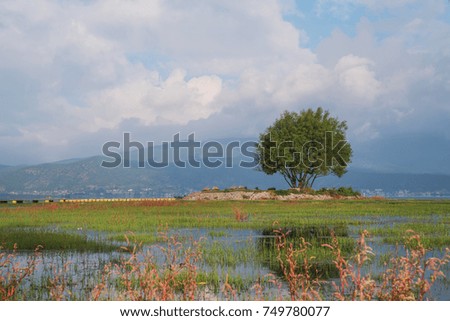 Rush sea scenery in Yunnan China