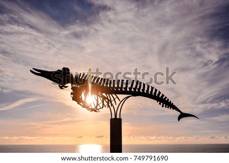 Photo Picture of a Beautiful Colored Sunset and Whale Skeleton,