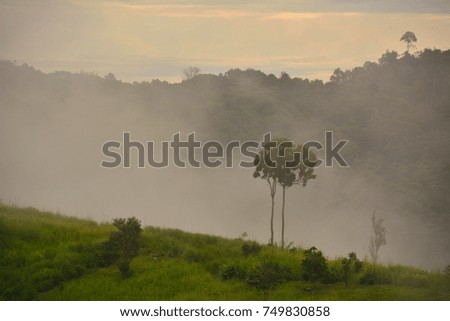 Morning sunrise on a misty mountain. ( Location: Khao Kho, Phetchabun Province, Thailand)
