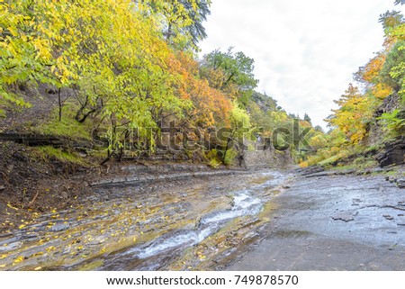 Beautiful fall foliage autumn colors with water runoff from a waterfall into a slow flowing creek. 