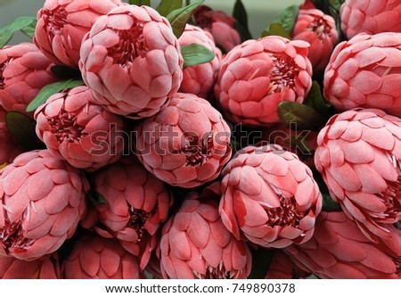 Close Up Bunch of Red Artificial Protea Aristata Flowers for Home and Building Decoration.