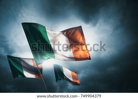 Ireland flags standing with pride on a cloudy day / high contrast image