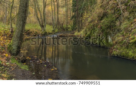 Bobri creek in Ceske Stredohori mountains near Vernerice town
