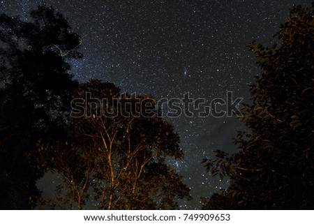 Stars trail in the sky, black background
