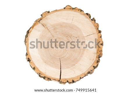 cut tree on white background. wooden tray. Royalty-Free Stock Photo #749915641