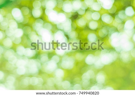 Nature blur greenery bokeh leaf wallpaper. spring and autumn par