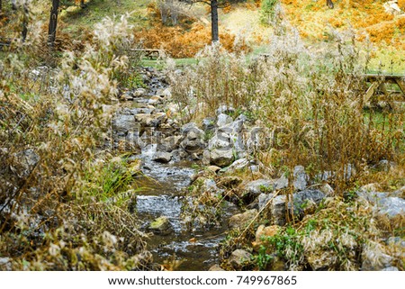 Autumn, forest, colorful leaves and waterfall, stream, lake views