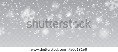 Heavy snowfall, snowflakes in different shapes, forms, vector illustration. Many white cold flake elements on transparent background.