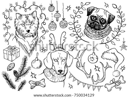 Holiday Collection. Set of Christmas. Dog, pine cone, garland, cap, balls, star, gift, antler, branch, frame. Merry Christmas. New Year. Template for greeting card, postcard, coloring book.
